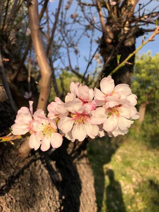 *Suite *Pozzo Dei Desideri Пескичи Экстерьер фото